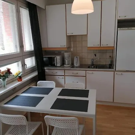 מלון Ravintola Tiilikka 2*