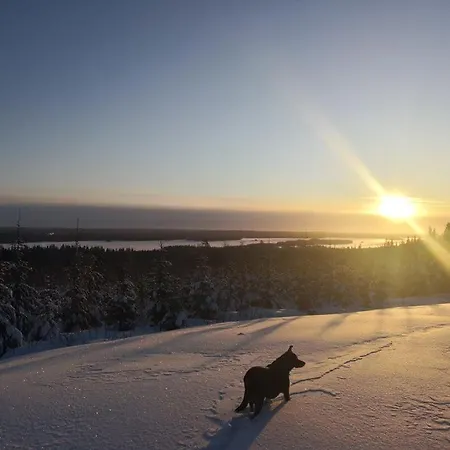 Ravintola Tiilikka 2*