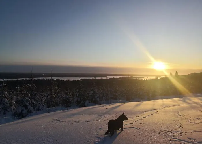 Ravintola Tiilikka 2*